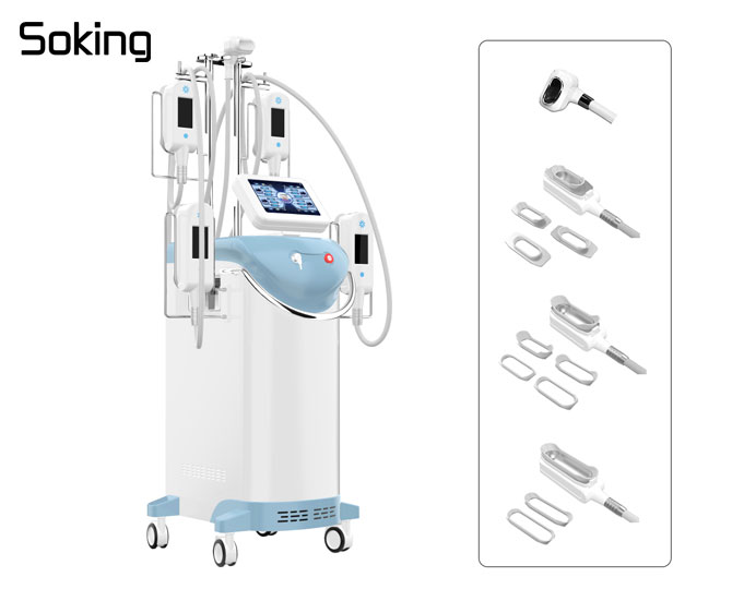 5 handles 360 cryolipolysis slimming machine